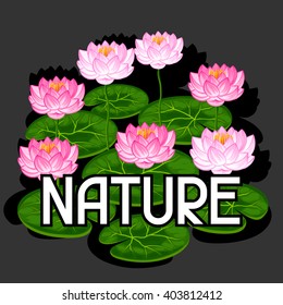 Natural background with lotus flowers and leaves. Image for design on t-shirts, prints, decorations brochures, websites.