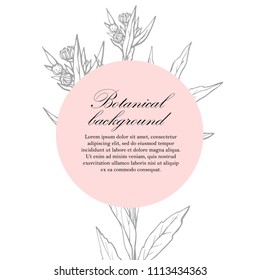 Natural background. Organic botanical design template. Hand drawn Vector herbal illustration