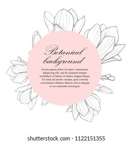 Natural background. Organic botanical design template. Hand drawn Vector illustration of magnolia flower