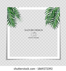 Plantilla de marco fotográfico de fondo natural con hojas de palma para publicación en la red social. Ilustración vectorial