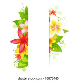 Natural Background With Plumeria, Isolated On White Background, Vector Illustration