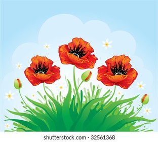 Natural background with poppy