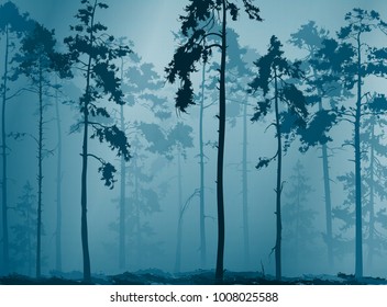 natural background with a silhouette of a pine forest, vector illustration