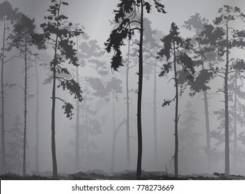 natural background with a silhouette of a pine forest, vector illustration