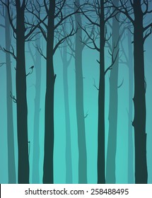natural background with silhouettes of bare trees and birds