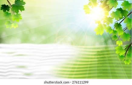 Natural background tree branches over the water