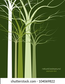 natural background of trees without leaves