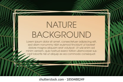 Fondo natural con hojas tropicales