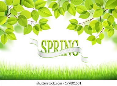 Natural background. Vector