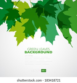 Natural background. Vector background with green leaves. Vector illustration. 