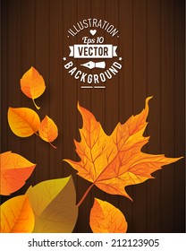 Natural background with wooden board and leaves. Vector EPS 10 illustration. Wooden planks ans orange and green leaves