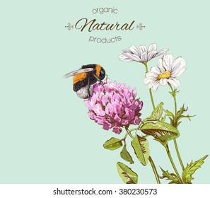 Natural banner with wild flowers and bumblebee.Green background for natural  products, honey, farmers market, homeopathy,beauty store, herbal or honey cosmetics and spa treatment.Vector illustration