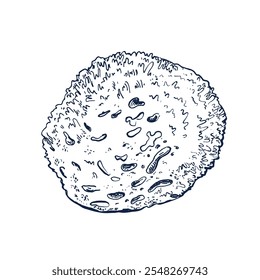 Natural bath sea sponge hand drawn Isolated vector illustration. Sketch template for card design, packaging, cosmetics, medicine, treating, aromatherapy, package design healthcare decor. Engraving