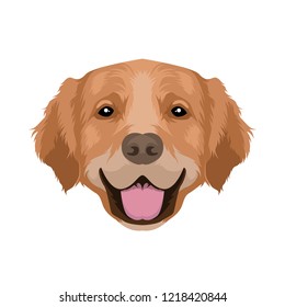 Natural Beagle Dog Face Vector