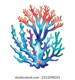 natural beautiful sea corals art design vector illustrator