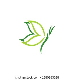 natural beauty green butterfly logo concept spa symbol icon vector design illustration