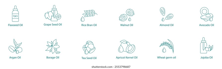 Natural Beauty and Health Oils Vector Icon Set: Flax, Grape, Rice Bran, Walnut, Almond, Avocado, Argan, Borage, Tea Seed, Apricot Kernel, Wheat Germ, Jojoba