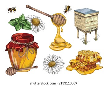 Natural bee honey production and apiary icons set, hand drawn engraving vector illustration isolated on white background. Natural organic wild flower honey.