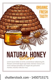Natural bee honey vector hand drawn poster template. Wildflower eco and organic honey shop flyer, brochure layout with text space. Homemade product advertisement. Beehive and wild flower illustration