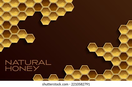 Natural bee honey. Vector illustration of realistic honey bee honeycomb cells. Sketch for creativity.