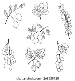 Natural berries sketch seamless pattern. Silhouettes of hand drawn blueberry, currant, cranberry on a white background. Vector illustration