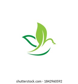 Natural bird logo images illustration design