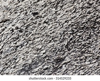 Natural black and white textures. Vector illustration
