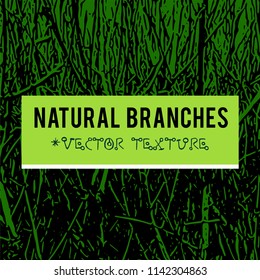 Natural branches vector textured background and eco grunge items for the creation of design banners, music cover, wallpapers,  flyers, websites with grunge bio ideas.