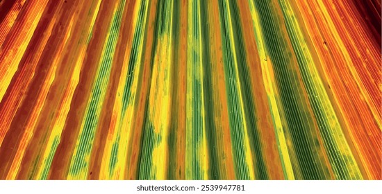 Natural bright palm leaf texture. Striped multicolored texture green, red, orange, yellow. Geometric background. Lines print. Multicolored texture from lines. Palm leaf vector.	