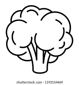 Natural broccoli icon. Outline natural broccoli vector icon for web design isolated on white background