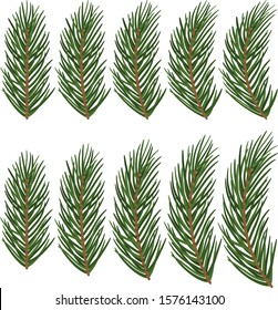 Natural brunch of christmas tree in different position for decoration 