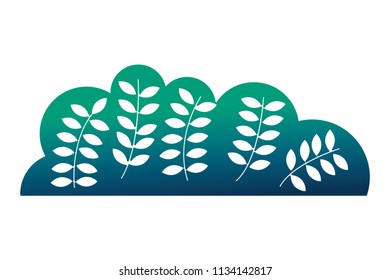 natural bush leaves branches