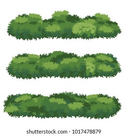 Natural Bush Vector