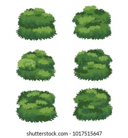 Natural bush vector