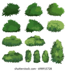 Natural Bush Vector