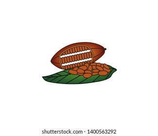 natural cacao vector art, cacao bean vector
