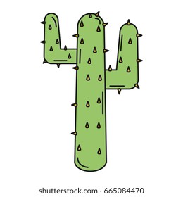 natural cactus isolated icon