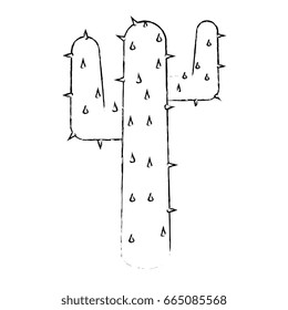natural cactus isolated icon
