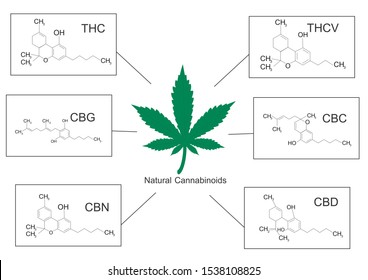 Natural Cannabinoid, Cannabis, THC, THCV, CBG, CBC, CBN and CBD