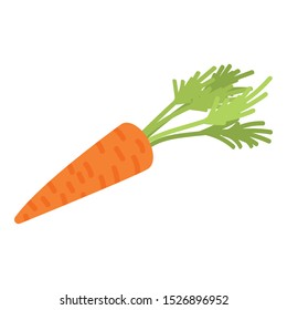 Natural carrot icon. Isometric of natural carrot vector icon for web design isolated on white background