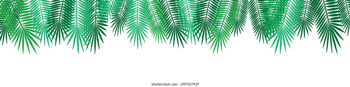 natural cartoon green tropical palm leaves rim, vector illustration for decorating invitations, cards, websites, posters or banners isolated on white