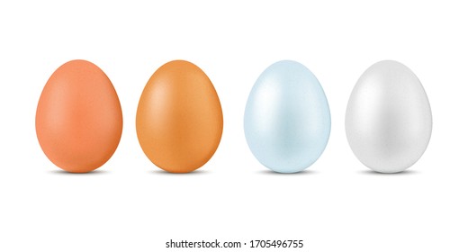 Natural chicken eggs on a white background. Set of four dark and light realistic eggs.