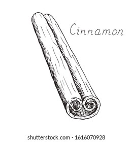 Natural cinnamon stick. Winter holiday seasoning for hot drinks and pastries. Aromatic bark. Condiment. Isolated clipart set on white background. Hand-drawn ink sketch.