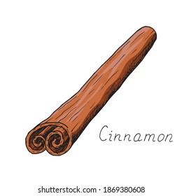 Natural cinnamon stick. Winter holiday seasoning for hot drinks and pastries. Aromatic bark. Condiment. Isolated. Hand-drawn ink sketch.