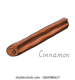 Natural cinnamon stick. Winter holiday seasoning for hot drinks and pastries. Aromatic bark. Condiment. Isolated. Hand-drawn ink sketch.