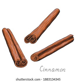 Natural cinnamon stick. Winter holiday seasoning for hot drinks and pastries. Aromatic bark. Condiment. Isolated clipart set on white background. Hand-drawn ink sketch.