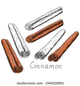 Natural cinnamon stick. Winter holiday seasoning for hot drinks and pastries. Aromatic bark. Condiment. Isolated clipart set on white background. Hand-drawn ink sketch.