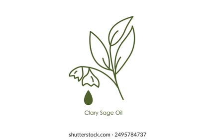 Natural Clary Sage Oil Vector Icon