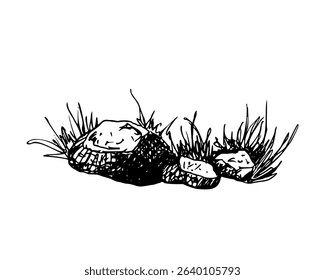 A natural cluster of rocks surrounded by tall, wild grass. Black and white outdoor scene. Graphic sketch in line art style. Hand drawn vector illustration isolated on white. For cards clip art label.