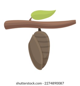 Natural cocoon icon cartoon vector. Nature leaf. Insect organic
